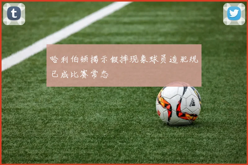 哈利伯顿揭示假摔现象球员造犯规已成比赛常态